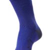 Шкарпетки функціональні TECH INDOOR SOCK LOW