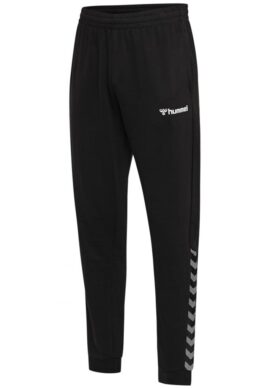 205-385-2114 Штаны hmlAUTHENTIC SWEAT