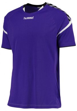 003-677-3820 Футболка Hummel AUTH. CHARGE SS POLY JERSEY