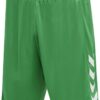 6235 Шорты hmlCORE XK POLY SHORTS